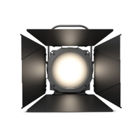 F4 T