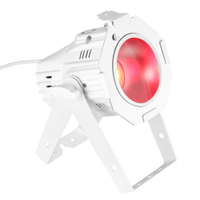 Studio Mini PAR COB 30W WH