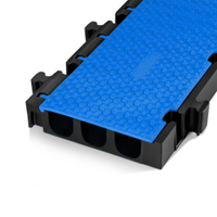 3 2D BLU MID SECTION