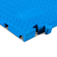 MIDI 5 2D RAMP BLU