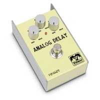 POCKET DELAY