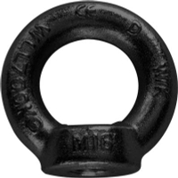 Eyenut M12 | black | WLL 340kg