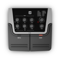 FX 300