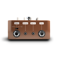 POCKET AMP ACOUSTIC