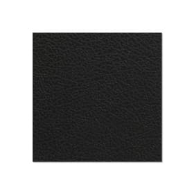 PVC Plywood