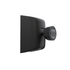DQOR 5 B-thumb-4